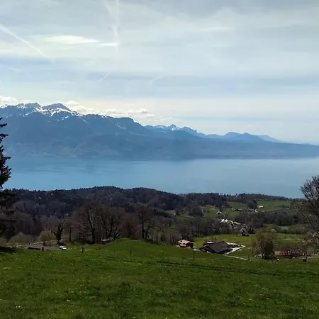 T2 Ideal Pour Famille Apartman Thollon-les-Memises